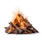 Heizfuxx Brennholz Buche 25 cm – 500 kg